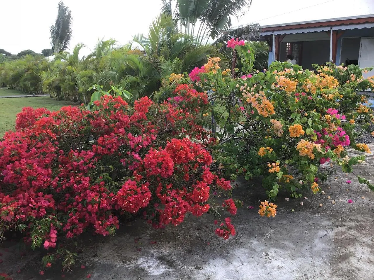 Village De L'Anse-A-L'Eau Saint-Francois  Saint-Francois (Grande-Terre)