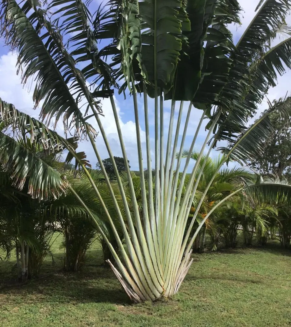 Holiday home Village De L'Anse-A-L'Eau Saint-Francois